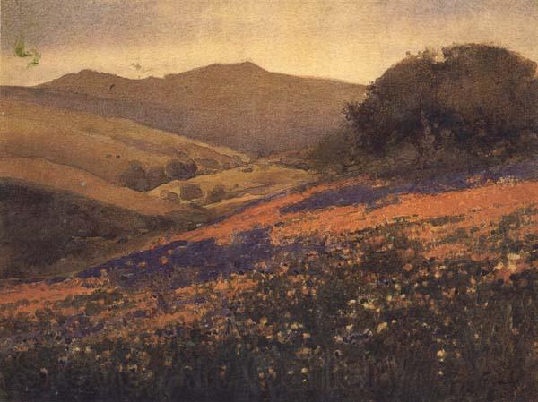 unknow artist California landscape